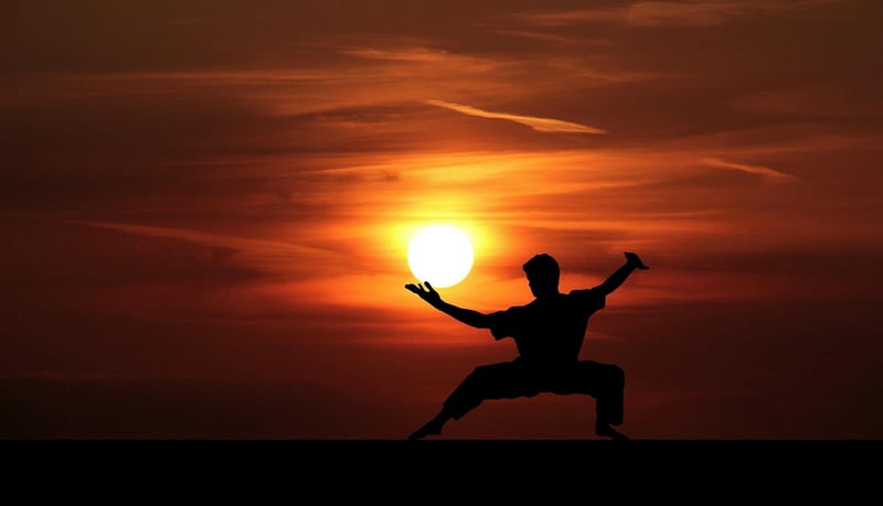 24-form Tai Chi